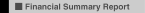 Financial Summary Report